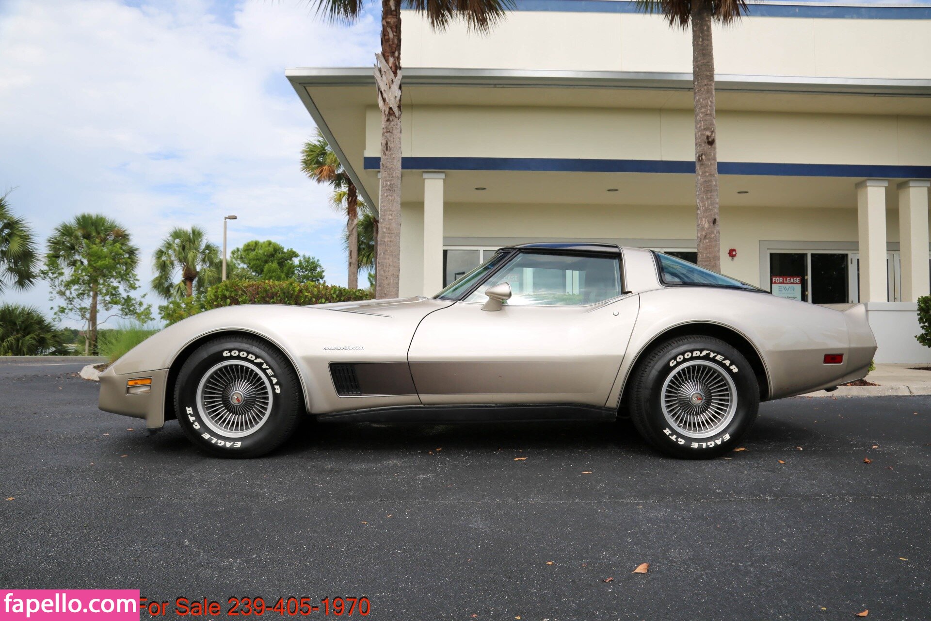 1982.corvette Nude Leaked OnlyFans Photo #16