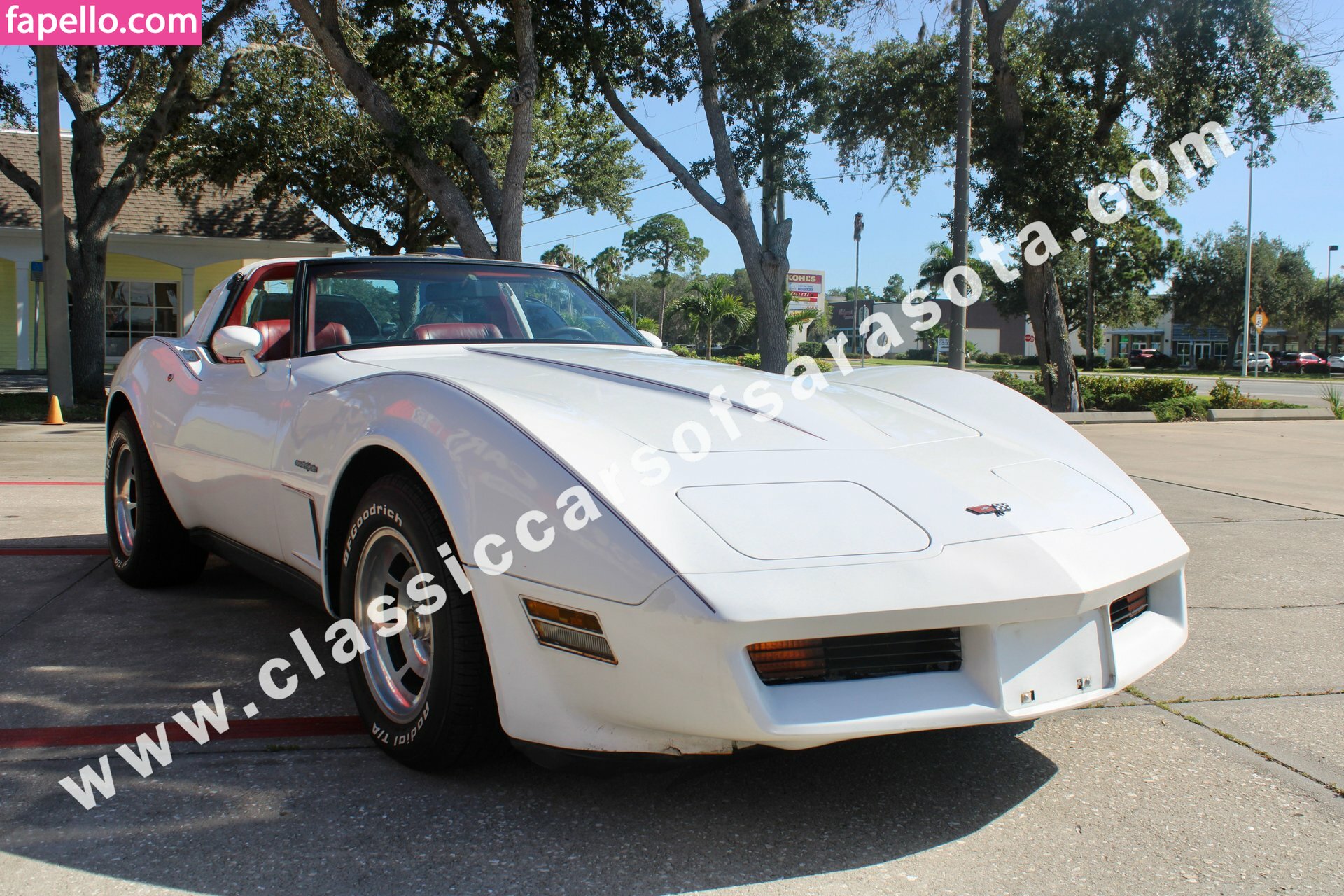 1982.corvette Nude Leaked OnlyFans Photo #26