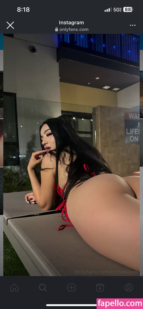 CC Nuñez / Ccmelloww / ccmellow / foxyycc Nude Leaked OnlyFans Photo #4