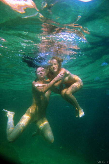 Attachment